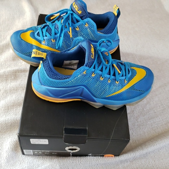 lebron xll low